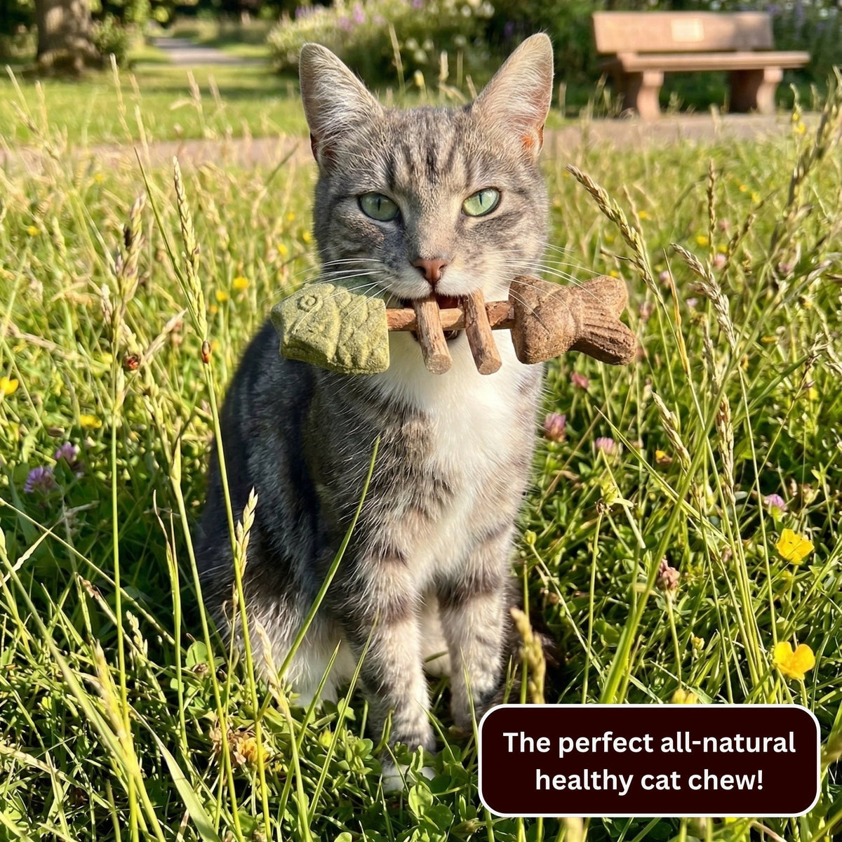Catnip & Silvervine Chew